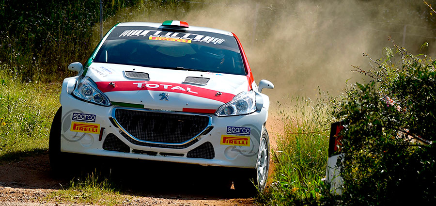 Non va oltre il quinto posto l'accoppiata Paolo Andreucci - Anna Andreussi con la Peugeot 208 T16 R5