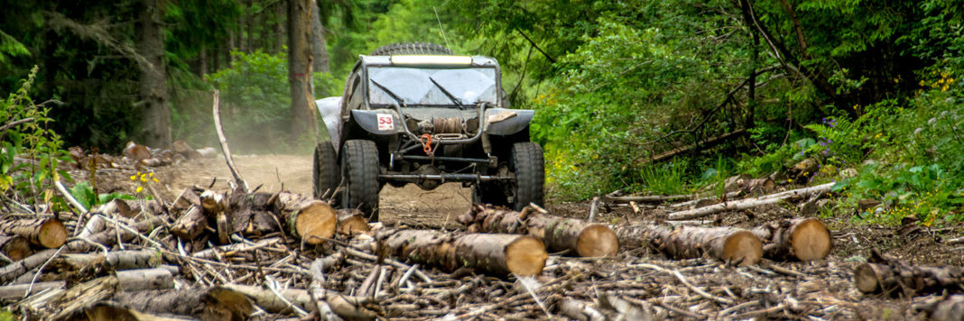 Transsylvania-Trophy-rb2-L-10